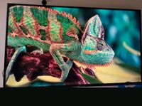 Smart tv SONY 2021 Hessen - Dornburg Vorschau