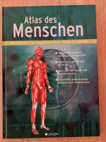 Atlas des Menschen Wunder der Anatomie Reise durch den Körper  er Baden-Württemberg - Oberkirch Vorschau