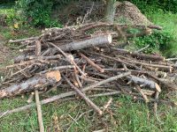 Brennholz  zu verschenken Saarland - Saarlouis Vorschau