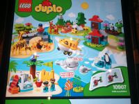 LEGO 10907 DUPLO Tiere der Welt Nordrhein-Westfalen - Leopoldshöhe Vorschau