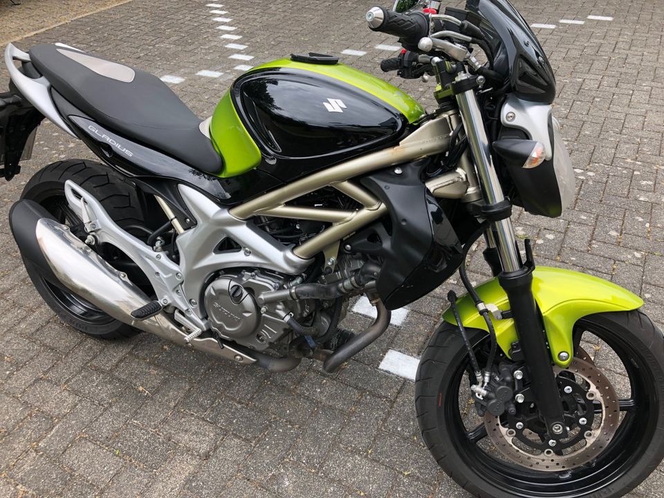 Suzuki Gladius SFV 650 in Iserlohn