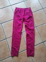 FALKE Skiing Comfort Women Gr. XL pink Lange Unterhose Leggings Niedersachsen - Dassel Vorschau