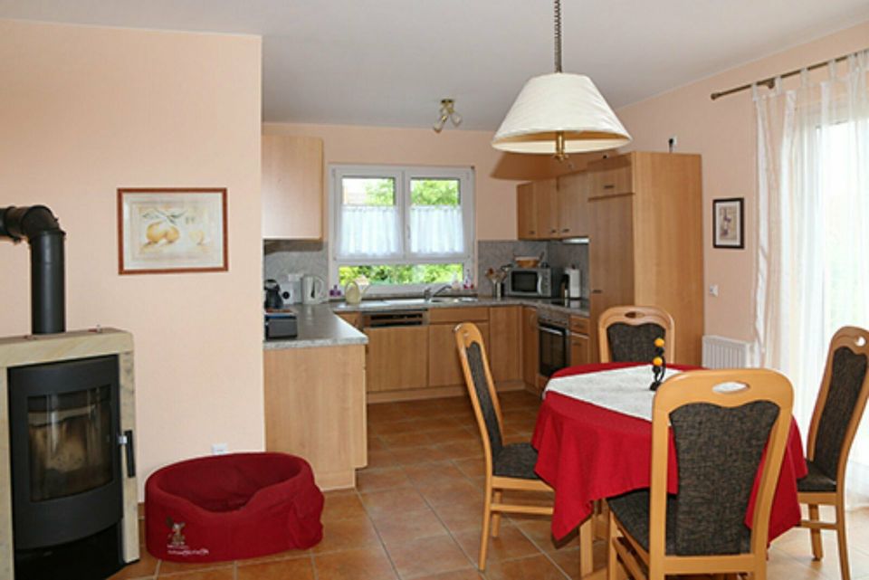 Ferienhaus Bungalow Odenwald 4 Pers. Hunde ok Zaun barrierefrei in Michelstadt