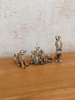 Schleich Erdmännchen Hessen - Friedberg (Hessen) Vorschau