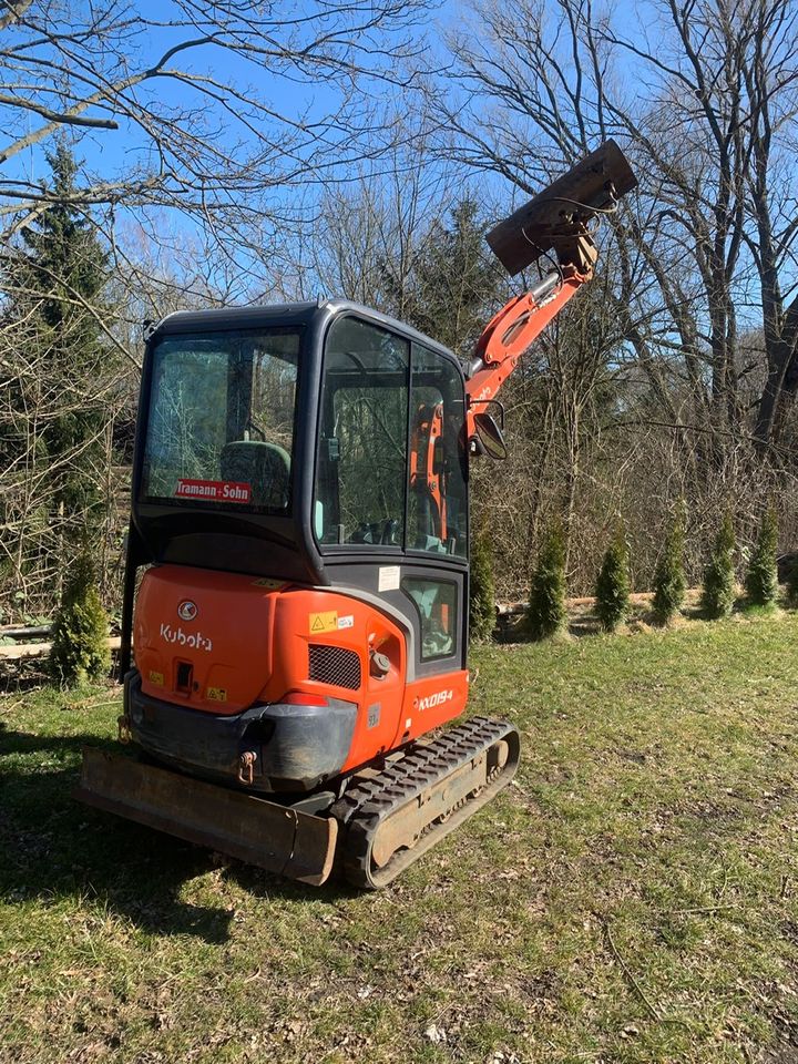 Zum Vermieten Minibagger Bagger Kubota KX019-4 in Radeberg