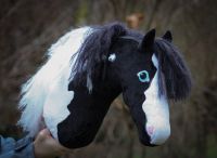 Hobbyhorse Schecke Rappe blaue Augen Bayern - Würzburg Vorschau