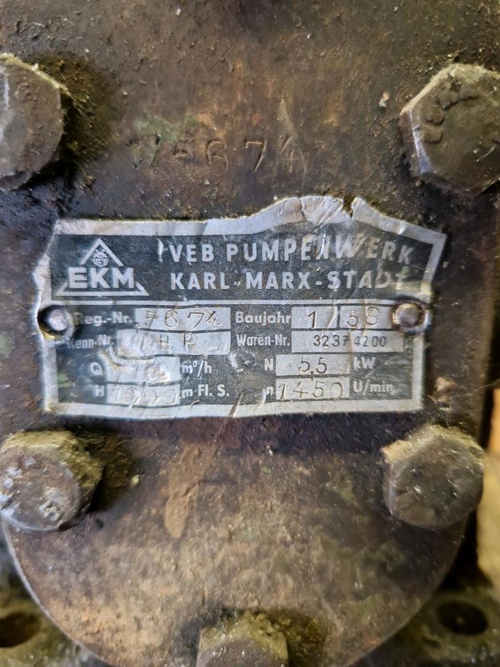 Hydraulik pumpe in Auengrund