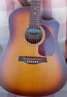 Seagull Entourage Rustic QIT Dreadnought Bayern - Klingenberg am Main Vorschau