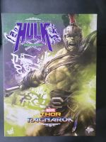 Hot Toys Hulk MMS430 Gladiator Hulk aus Thor 3 Köln - Köln Brück Vorschau