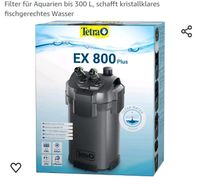 Suche Tetra EX 800 Plus Aquariumfilter Brandenburg - Eisenhüttenstadt Vorschau