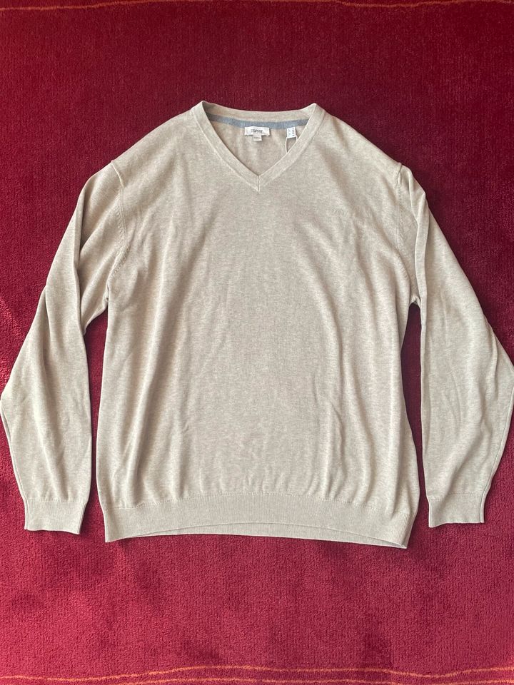 Esprit Sweatshirt Größe XXL in Beige Neu mit Etikett in Lich