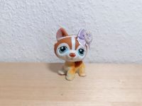 LPS Littlest Pet Shop Hund Husky mit Accessoire Berlin - Marienfelde Vorschau