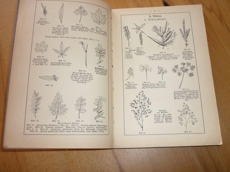 Taschenbuch zum Pflanzenbestimmen in Nieder-Olm