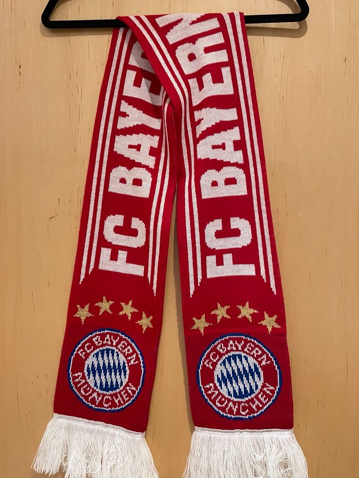 FC Bayern Schal in Altenmünster