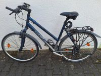 Damen - Mädchen  Fahrrad  Giant X-Spor tRahmenhöhe S 44, L 56 Baden-Württemberg - Murr Württemberg Vorschau