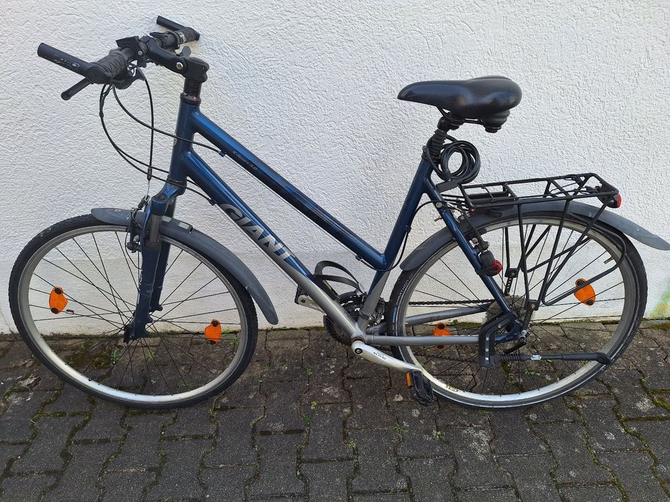 Damen - Mädchen  Fahrrad  Giant X-Spor tRahmenhöhe S 44, L 56 in Murr Württemberg