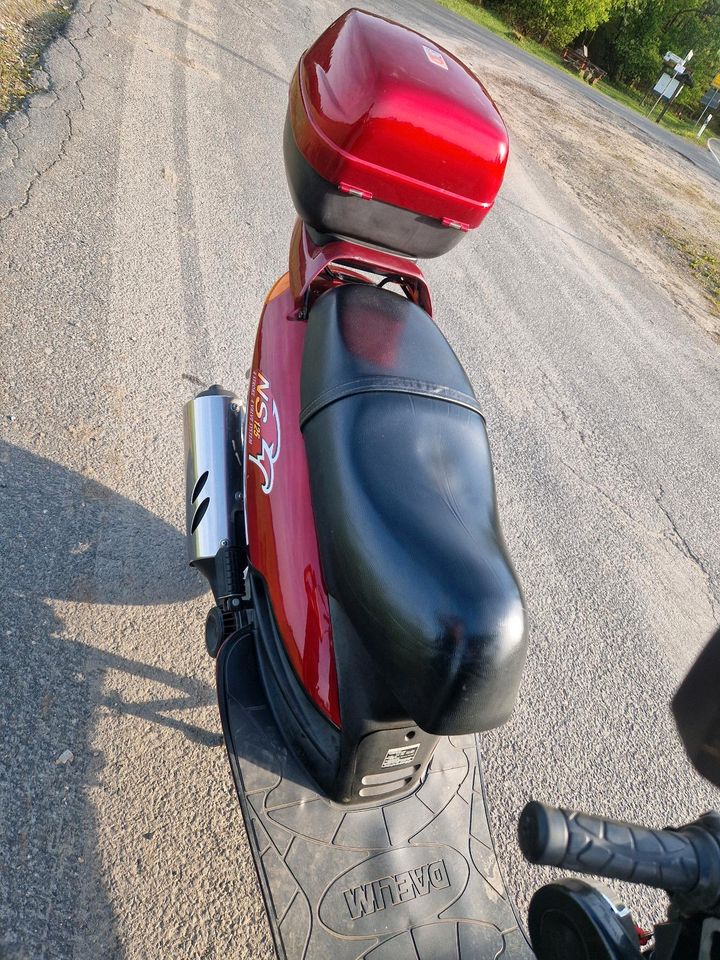 Roller, Mofa, Moped, 125ccm, SG 125 F in Kronach