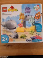 Duplo Lego 10972 Wild Animals of the Ocean Wilde Tiere neu & OVP Niedersachsen - Hildesheim Vorschau