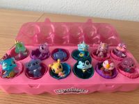 Hatchimals Eierkarton Baden-Württemberg - Gärtringen Vorschau