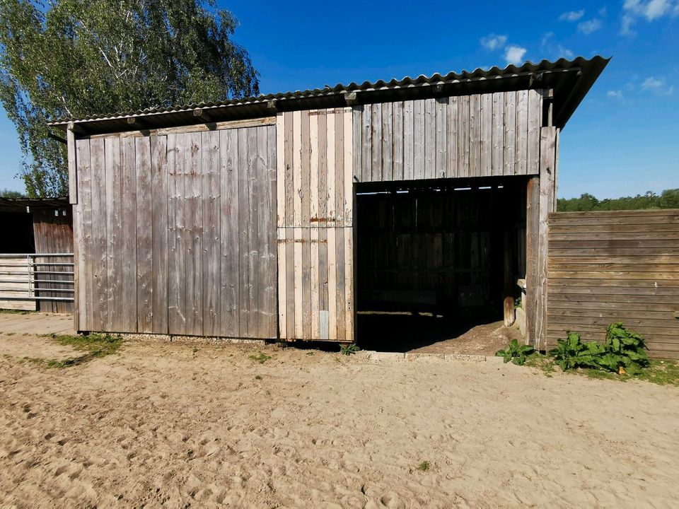 Offenstall, Stallplatz frei, Offenstallplatz frei. in Winsen (Luhe)