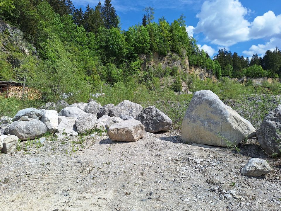 Findlinge (Kalksteine) in verschiedenen Größen in Lenggries