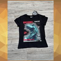 Jurassic World / Größe 116 / T-Shirt / Oberteil / Dinosaurier Hessen - Körle Vorschau