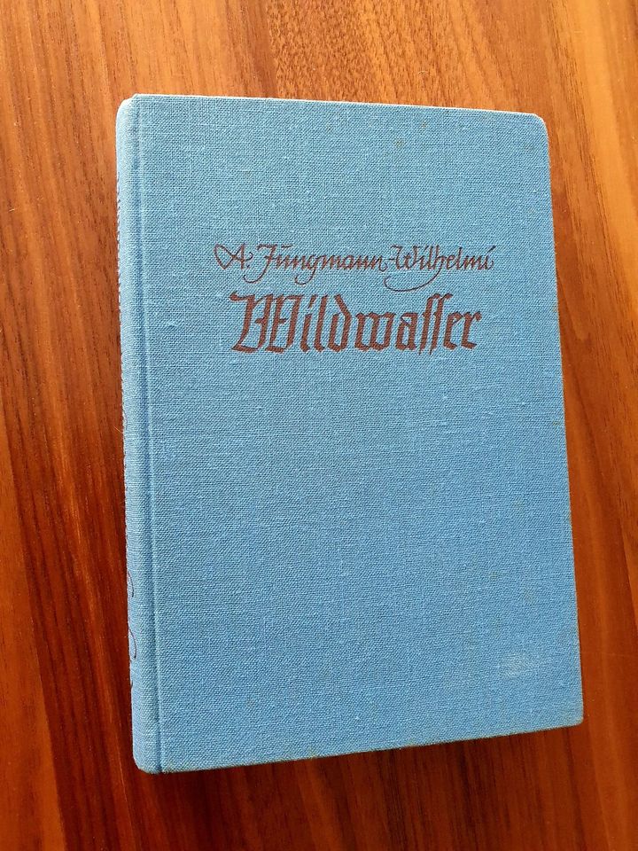 Anni Jungmann-Wilhelmi, Wildwasser, Roman a.d.Salzburger Bergen in Bad Dürrheim