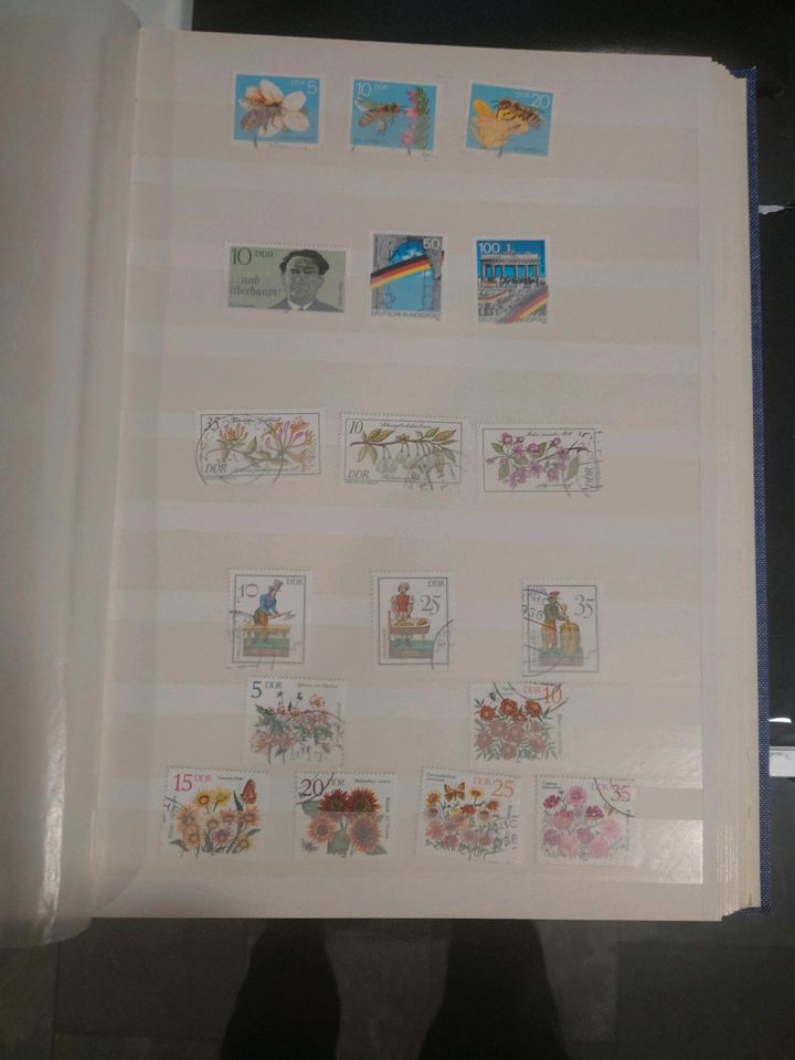 Briefmarkensammlung in Stade