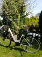 E-Bike Sparta M8B, RH48 cm, 28Zoll mit Zubehör Hessen - Limburg Vorschau