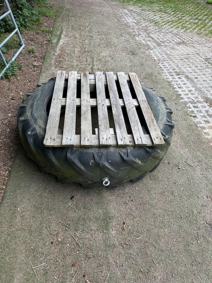 Traktorreifen für Sandkasten oder Pferde Zuggewicht in Colditz