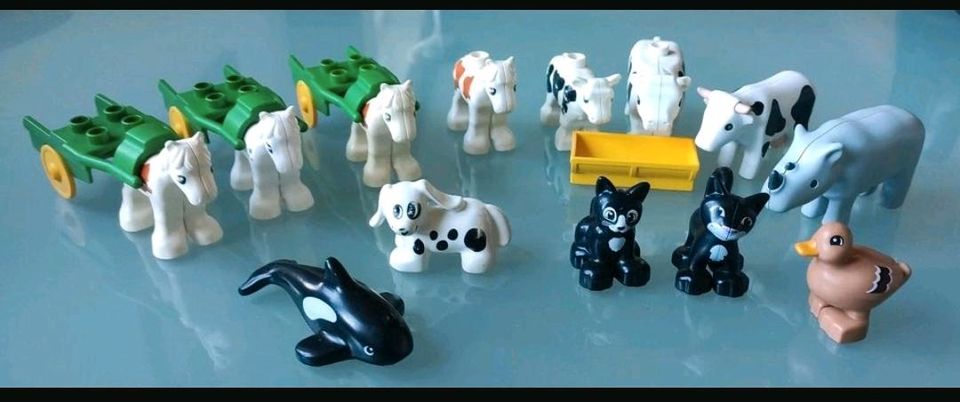 Lego Figuren Tiere Katze Pferd Wal Schwein Ente Huhn Nashorn Hai in Merkelbach