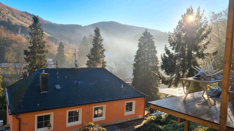 Wohnen auf Zeit voll ausgestattete Traum-Wohnung am Wald in Traben-Trarbach