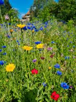 Garten zum vermieten 640 qm Hessen - Bad Nauheim Vorschau