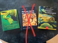 Buch Schlangen Reptilien Riesenschlangen Faszination neuwertig Hessen - Trendelburg Vorschau