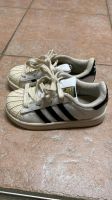 Adidas Superstar Größe 26 Kr. München - Unterschleißheim Vorschau