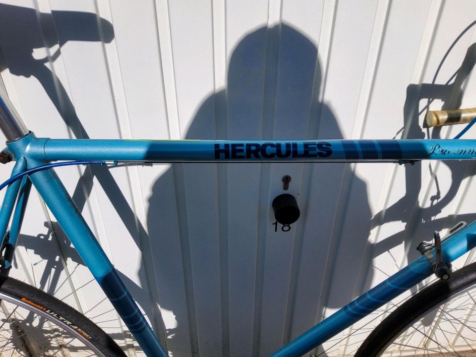 Hercules  Rennrad Toledo Rahmen 63cm Reifen, Sattel neu in Saarbrücken