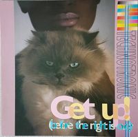 Technotronic – Get up before the night is over Schallplatte Vinyl Nordrhein-Westfalen - Brilon Vorschau