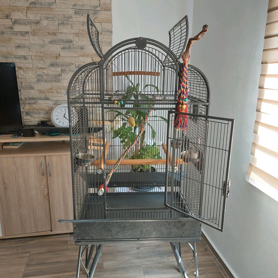 Montana Papagei Käfig zuverkaufen in Barnstorf