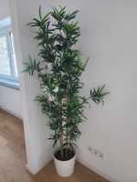 Topflanze, künstlich, Bambus Hessen - Darmstadt Vorschau