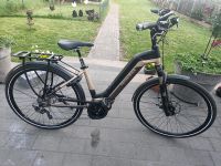 E Bike Technibike! 38 km! 70 Newtonmeter! Neuzustand Rheinland-Pfalz - Diez Vorschau