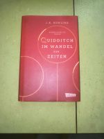Quidditch im Wandel der Zeiten - Harry Potter Dresden - Johannstadt Vorschau