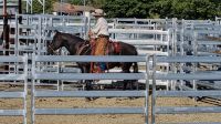 28./29. Sep 2024 Hackamore Bosal und Horsemanship Kurs Hessen Hessen - Schrecksbach Vorschau