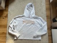 Schicker Puma Pullover Hoody Gr M Sachsen - Freiberg Vorschau