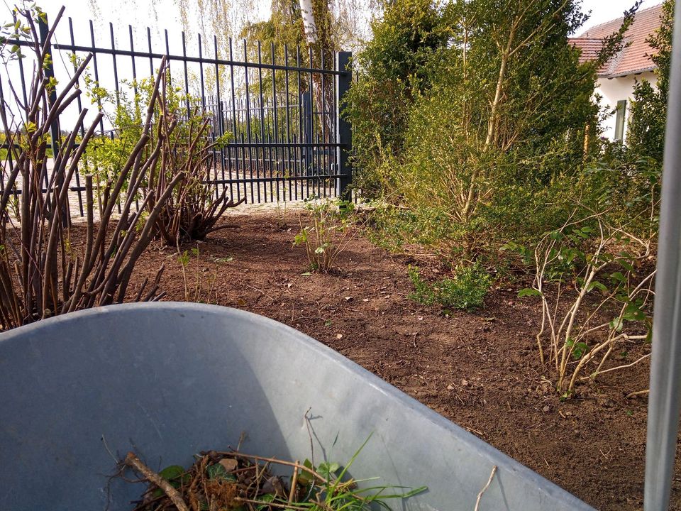 Gärtner Hausmeister Gartenpflege Vertikutieren Strauch- und Hecke in Brandenburg an der Havel