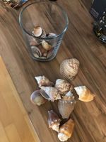 *Deko* Glas Vase Übertopf mit mit Muscheln groß + klein Kr. München - Unterhaching Vorschau