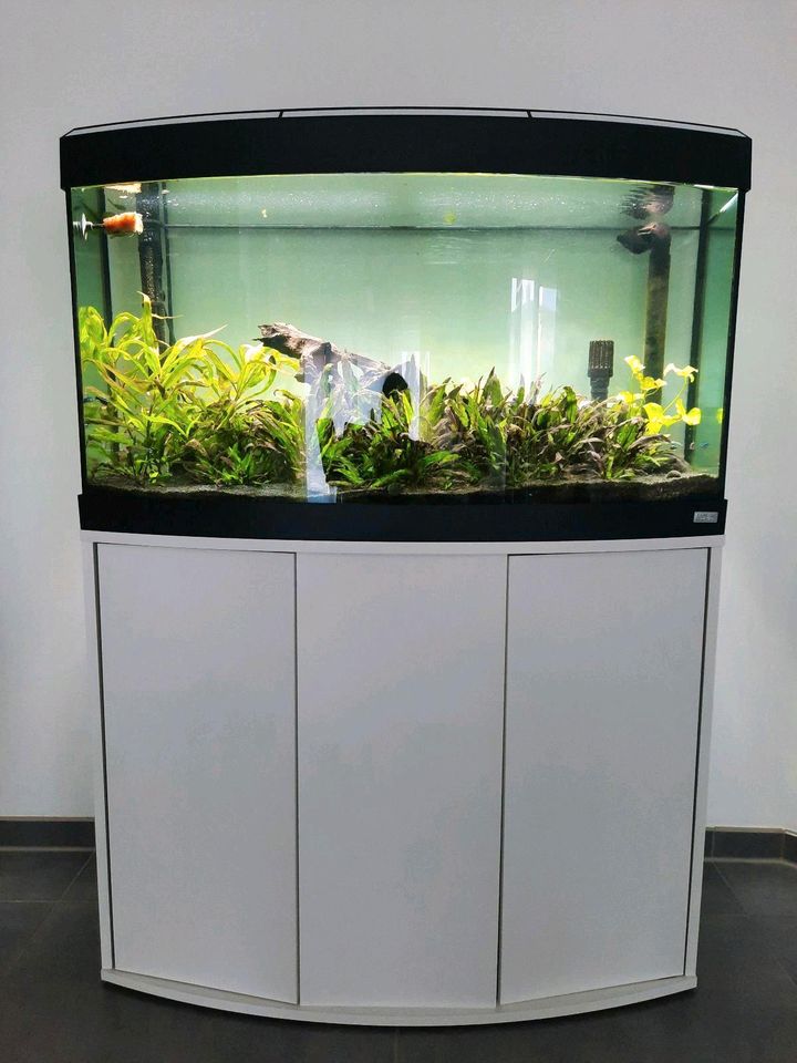 Aquarium Fluval 180L mit Unterschrank, Pumpe und LED Lampe in Frensdorf