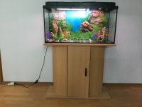 Aquarium, Außenfilter, Pumpe, Heizstab, Unterschrank + Sonstiges Niedersachsen - Delmenhorst Vorschau