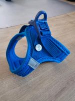 Hunde Geschirr - Vest Harness curli Clasp Air-Mesh Blue 3XS Niedersachsen - Riede Vorschau