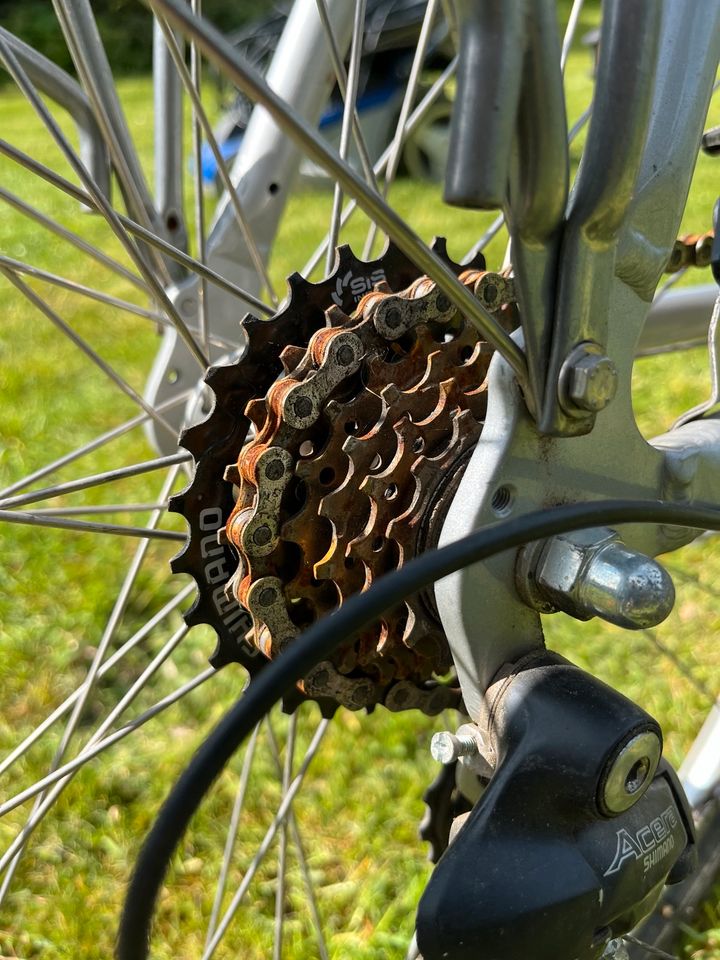 Fahrrad Herren, Männer, Peugeot in Garbsen