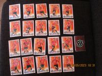 Match Attax Karten, Hannover 96 schon alt,  2008/2009  24Stk. Niedersachsen - Ochtersum Vorschau